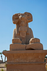 Fototapeta na wymiar Ram sphinx at ancient egyptian temple in Luxor
