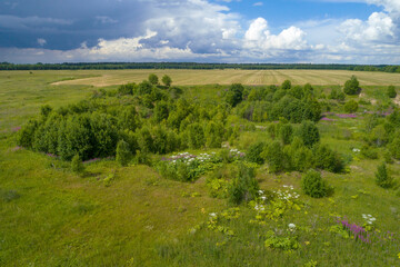 Fototapeta na wymiar Rural landscape of the Leningrad region on a July day (aerial photography). Russia