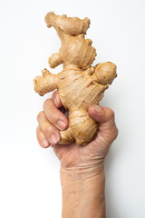 Senior woman's right hand holding Fresh ginger root or rhizome grows in white background, Close up...