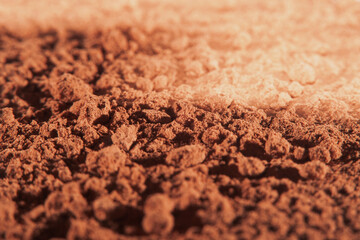 Background with sprinkled paprika at high magnification and an empty white background