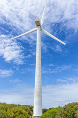 Fototapeta na wymiar close up of a wind farm near Albany, Western Australia