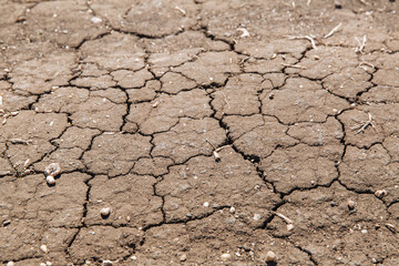 Texture of dried cracked earth because of no rain and drought season.