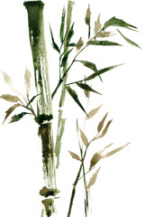 Bamboo tree with leaves