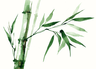 Bamboo tree with leaves