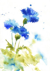 Blue cornflowers. Hand drawn watercolor illustration - 354054383