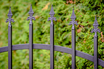 Wrought iron fence