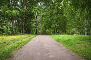 Fototapeta na wymiar Lonely road in spring park
