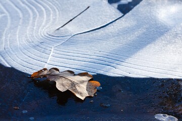 Ice texture background cold macro,  crystal.