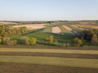 Fototapeta na wymiar aerial view of landscape with agricultural fields and trees