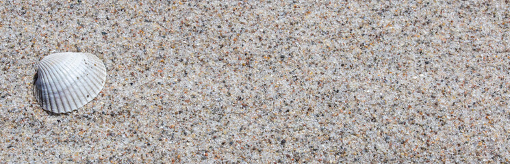 texture of beach sand background