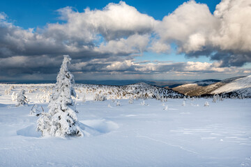 Fototapeta na wymiar Beautiful winter landscape with snow covered trees