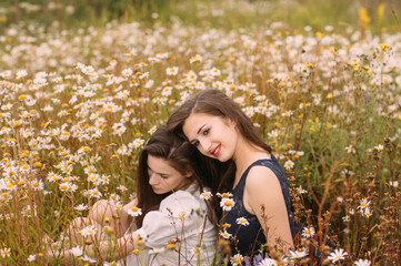 Two girls in dark blue and white dresses in sunny day sitting in chamomile field - 354058377