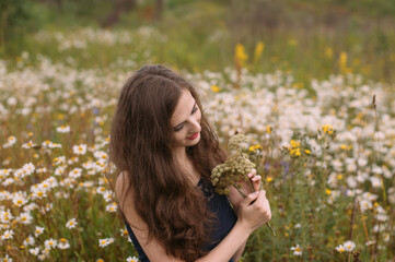 Young beautiful girl holds bouquet of flowers in hands in chamomile field - 354058536