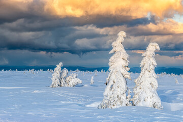Fototapeta na wymiar Beautiful winter landscape with snow covered trees