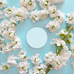 Top view of a round jar of a  beauty product. Pale blue background with white flowers. Place your product here. Flat lay. 