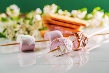 Cookies and marshmallows on skewers fried on a fire on plate