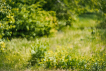 abstract blurred nature background