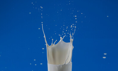 Milk Splash