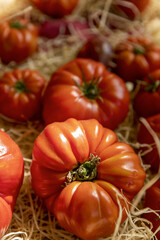 tomatoes in the market