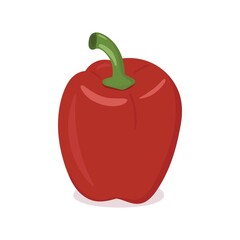 Red bell pepper vector. Fresh and oranic vegetable. Isolated illustration on white background.