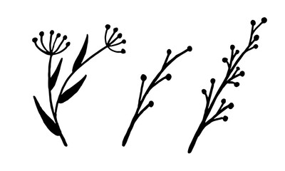 Hand drawn vector illustration of wildflowers. Collection of doodle floral elements. Spring and summer symbol. Contour otline drawing of simple black twig