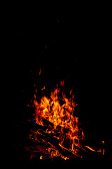 Fototapeta na wymiar Bonfire. Hot fire against the black night sky.