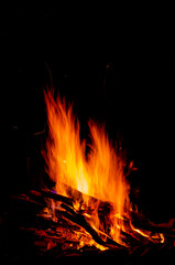 Bonfire. Hot fire against the black night sky.