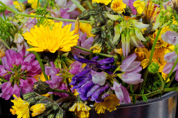 Live walls Multicolored flowers © K.Jagielski
