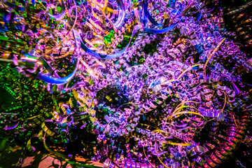 Obraz premium Multicolored metal shavings abstract colorful background