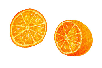 Watercolor orange. Citrus. Recent watercolor paintings of organic food. Fresh exotic fruit. Watercolor orange on a well-defined paper texture Hand draw