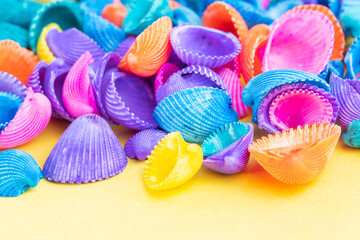 夏イメージ　カラフルな貝殻