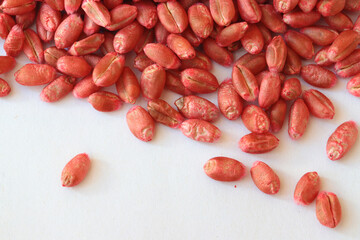 close up of red wheat seeds with dressing or wheat treatment