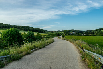 Fototapeta na wymiar Caminos rústicos atravesando campos en primavera.