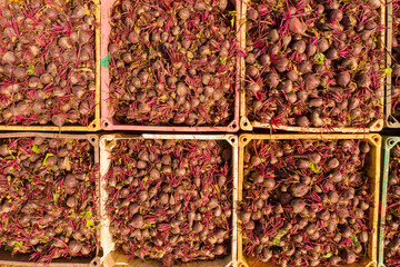Pallets of fresh picked Beetroot, Aerial image.