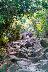 The beautiful sunny hiking road in Sai Kung East Country Park in Hong Kong