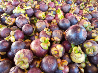 Many fresh Mangosteens, Thai tropical fruits that nutrition for sell in the market.