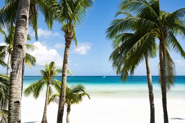 Photo sur Plexiglas Plage blanche de Boracay (Mise au point sélective) Vue imprenable sur une plage de sable blanc baignée par une mer turquoise et de magnifiques cocotiers au premier plan. Plage blanche, île de Boracay, Philippines.