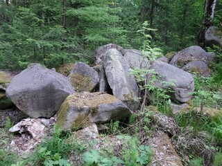 Naklejka na ściany i meble rocks in the forest