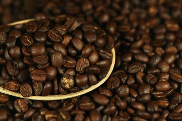 Coffee bean close up texture background