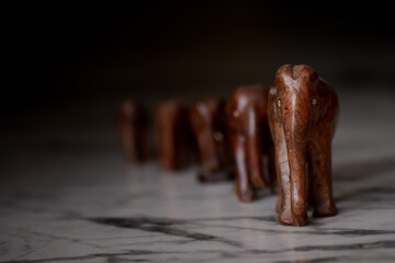 elephant in wood 