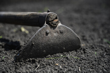 The hoe is lying on a bed in the garden. Russian village.