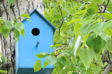   blue birdhouse for birds on a tree        