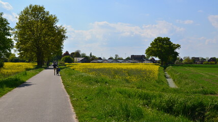 Marschbahndamm_017
