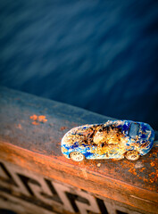 Children’s, old blue-colored typewriter covered with shells on a background of water.
