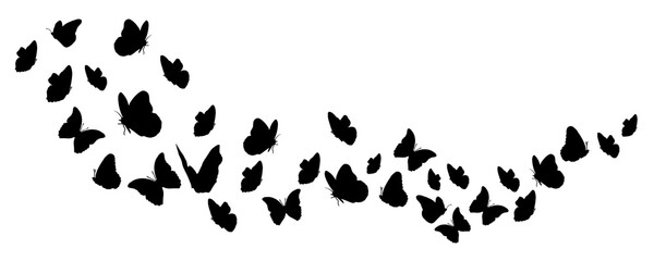 Fototapeta na wymiar Silhouettes of butterflies flying. Vector design. Blackground.