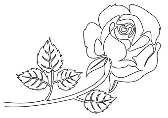 Single Line art of Rose flower with Leaves