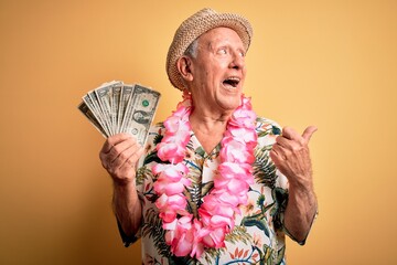 Grey haired senior man wearing summer hat and hawaiian lei holding bunch of dollars pointing and...