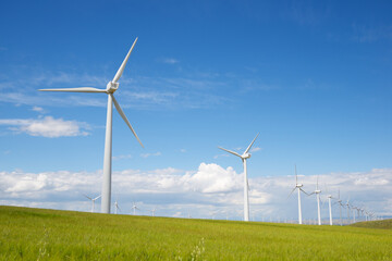 Fototapeta premium Renewable energy concept