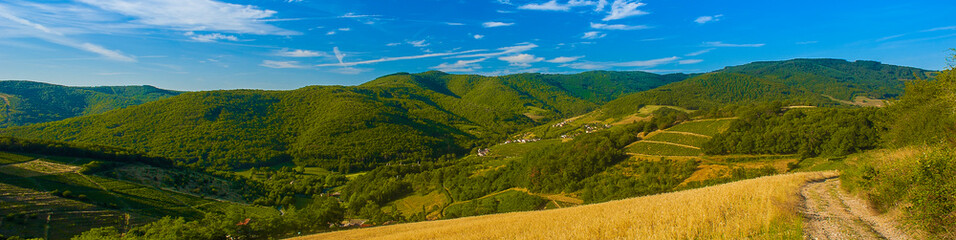 Obraz premium vue sur le beaujolais