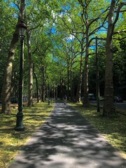 photos of a holiday in a park in belgium